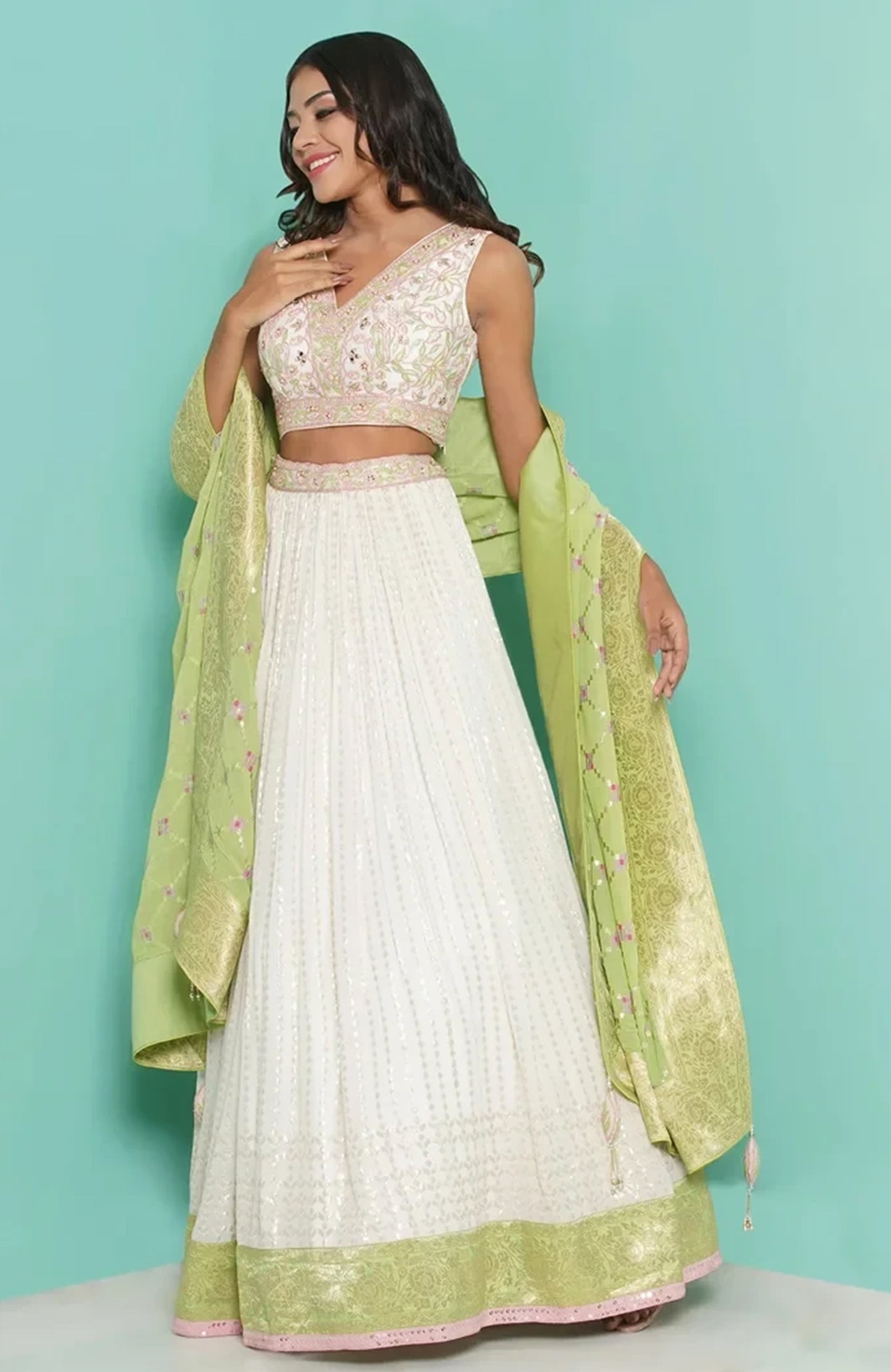 Textured Lehenga with banarsi border