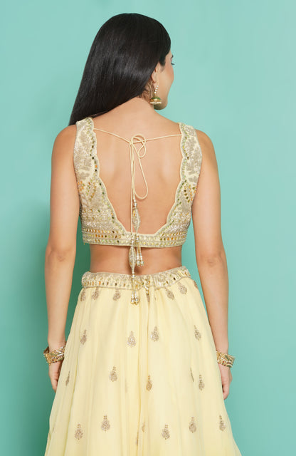 Lemon Ombre Zari Lehenga